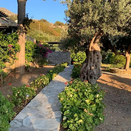 Cycladic Shangri La - Lemontree
